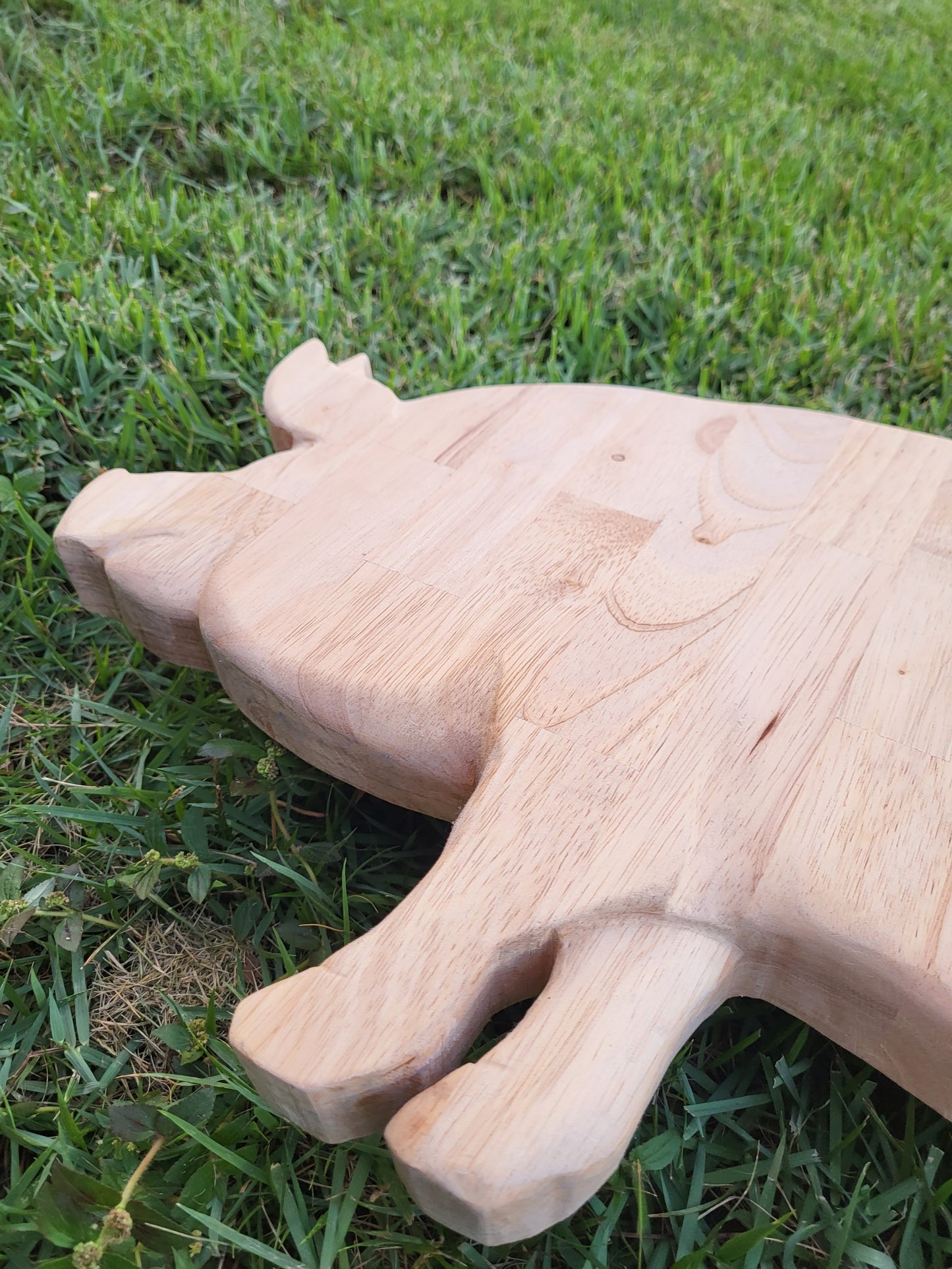 Custom Pig Cutting Board 14x24