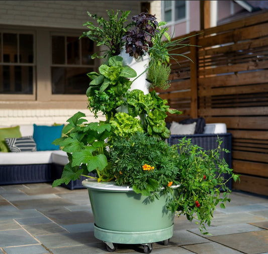 Hydroponic Tower Garden