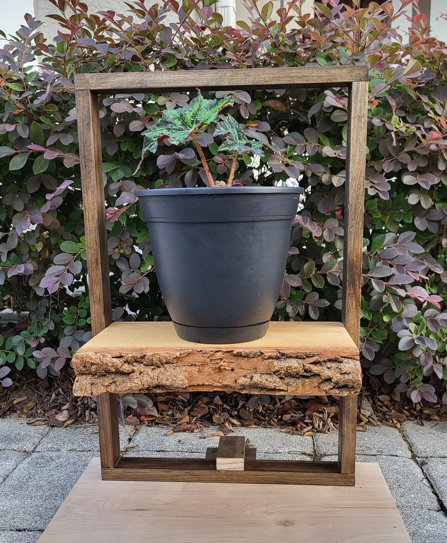 Custom Wooden Plant Frame