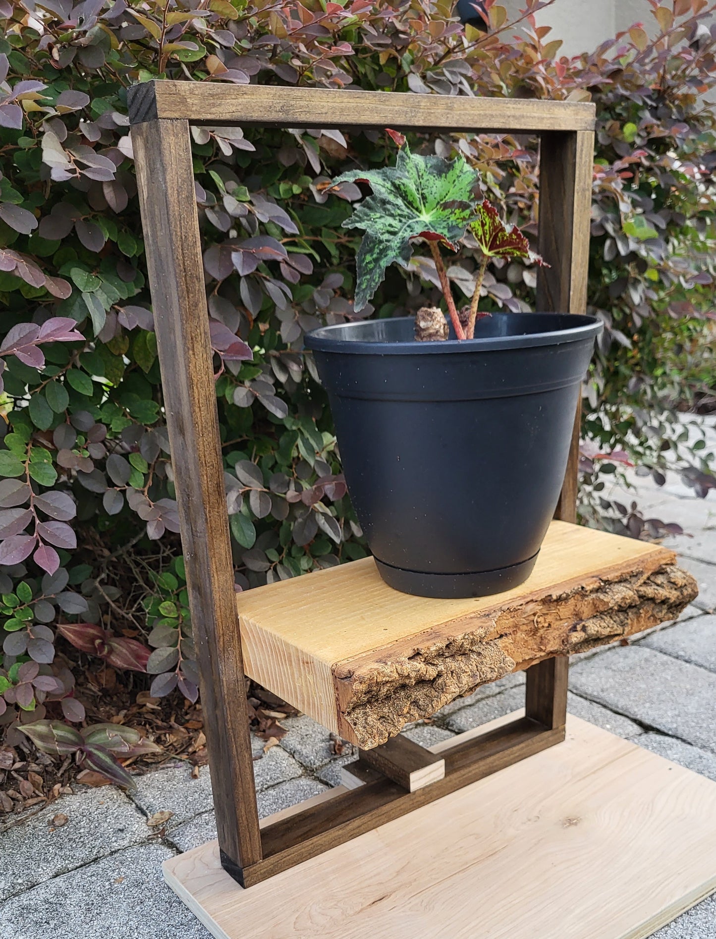 Custom Wooden Plant Frame