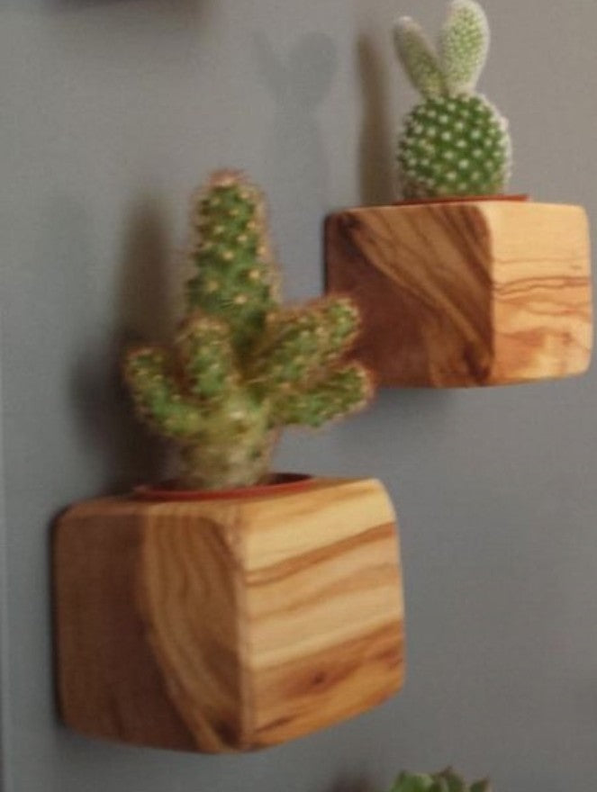 Plant Wall Stand